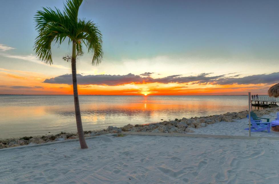 441-Waterfront, Amazing Views, Wifi, Pool And Close To Bucs Stadium Tampa Exteriér fotografie