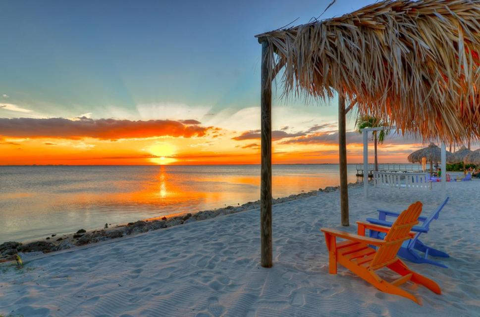 441-Waterfront, Amazing Views, Wifi, Pool And Close To Bucs Stadium Tampa Exteriér fotografie
